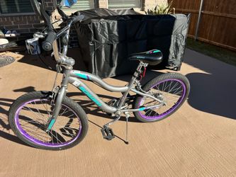 Schwinn Bike 20” Astrid Gray