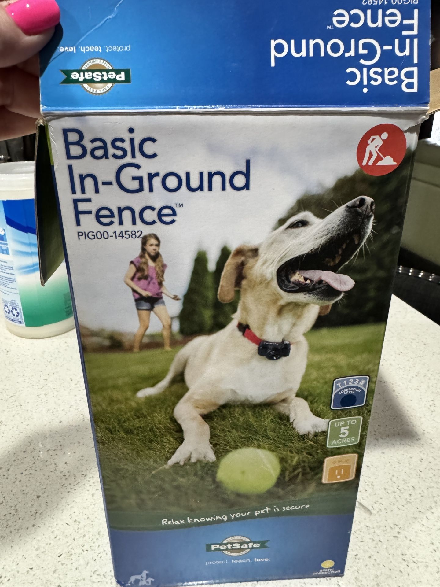 Dog Fence