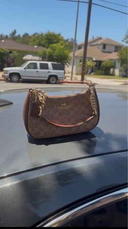 Coach teri bag