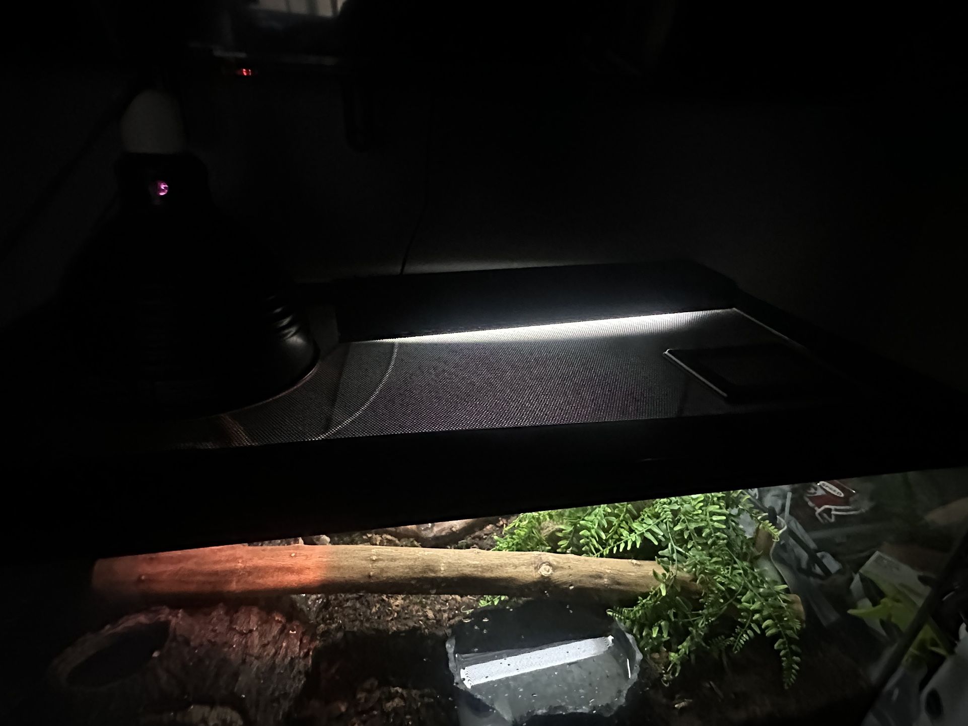 40 Gallon Thrive Tank (only Tank)