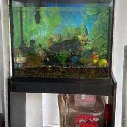 Take Whole Set Up. Complete . Need Gone ASAP