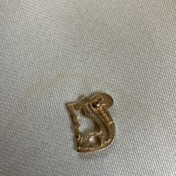 Brooch Pin 