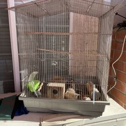 Bird Cage 