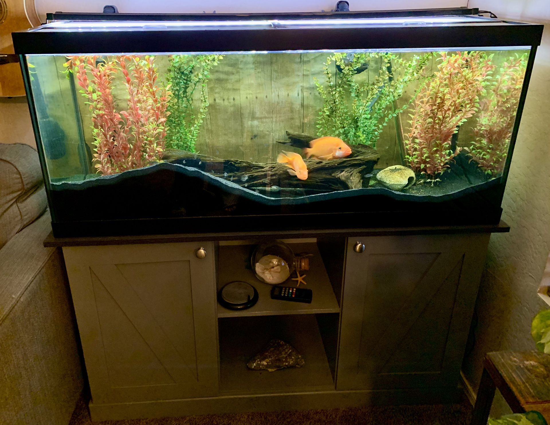 75 Gallon Aquarium Fish Tank with Gray Stand