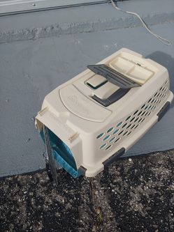 good condition for pet cat or dog🐈🌺🐩👍