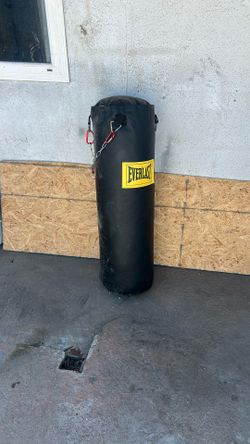 Everlast punching Bag