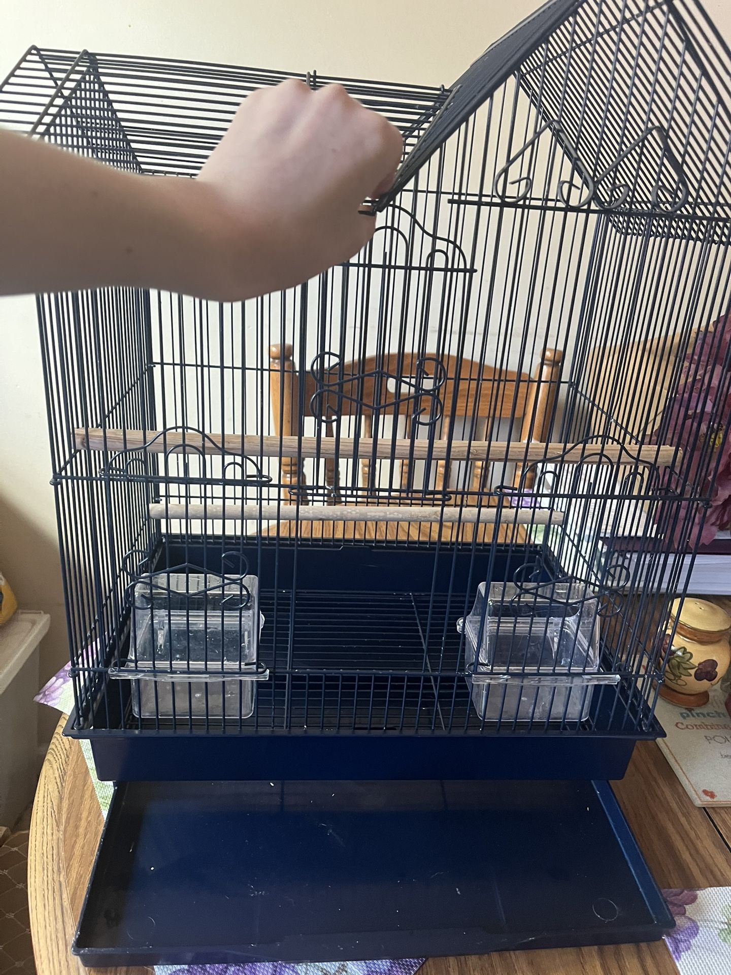 Parakeet And Small Bird Cage