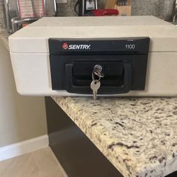 Sentry Fireproof Safe