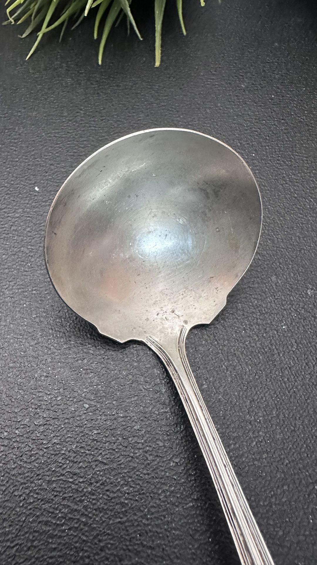 Elegant Antique Spoon