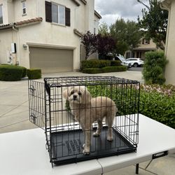 Small Dog / Animal Cage 24”x 20”