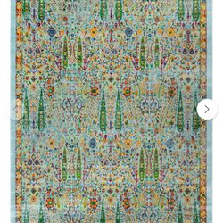 8x10 Area Rug with Pad Like New