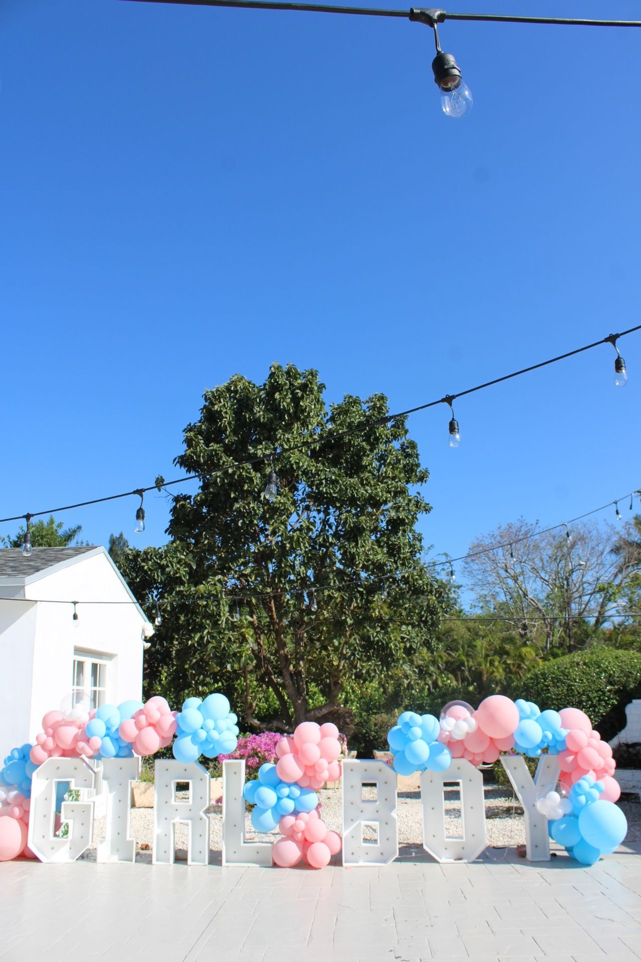 Gender Reveal/ Event Decor