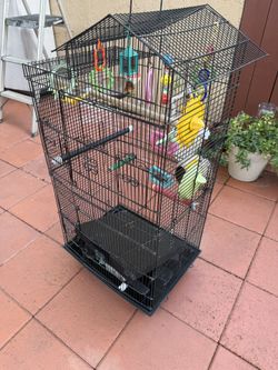 Bird Cage (With Toys & Feeder) 