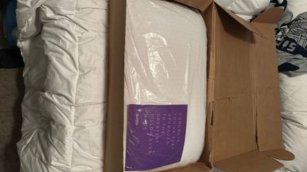 Purple Pillow