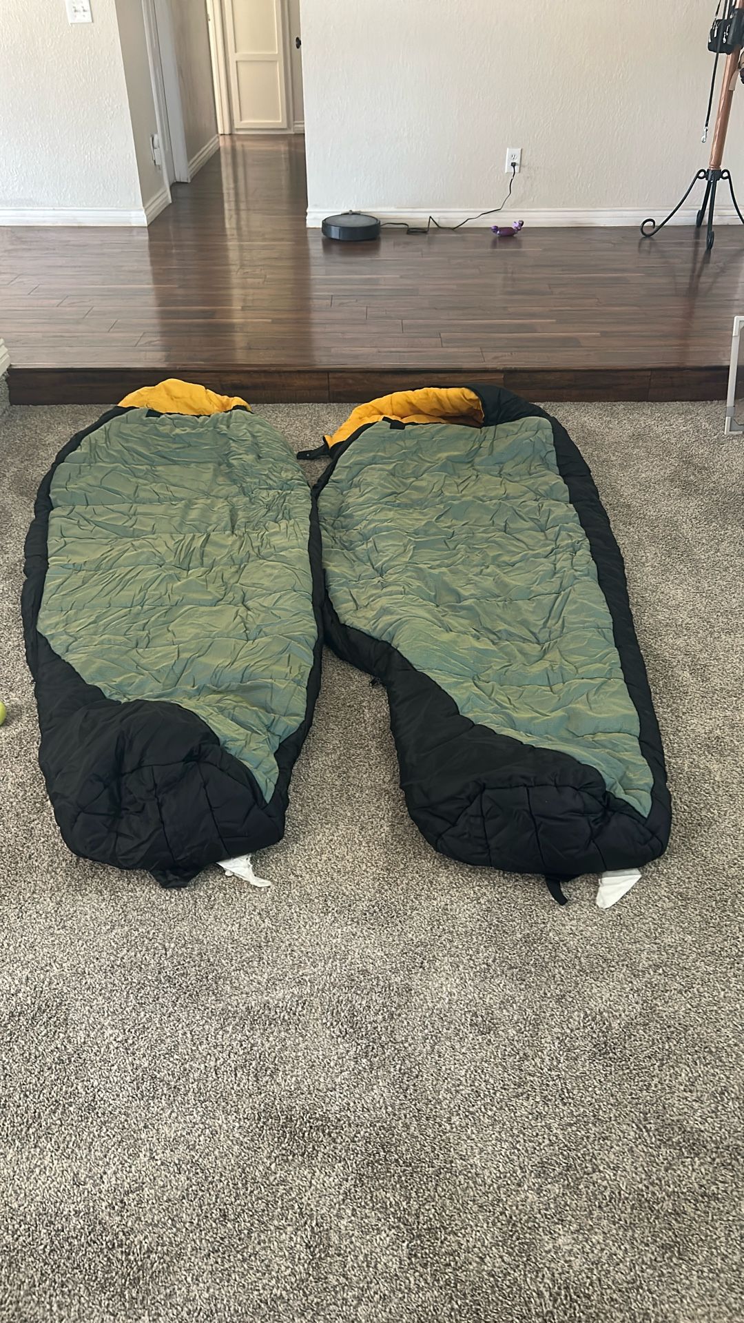 2 Adult Mummy Sleeping Bags – Great Condition! – $40
