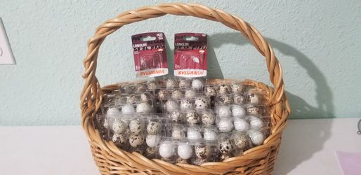 Huevos de Codornices  Frescos todos los días A 10  dolares   la docena