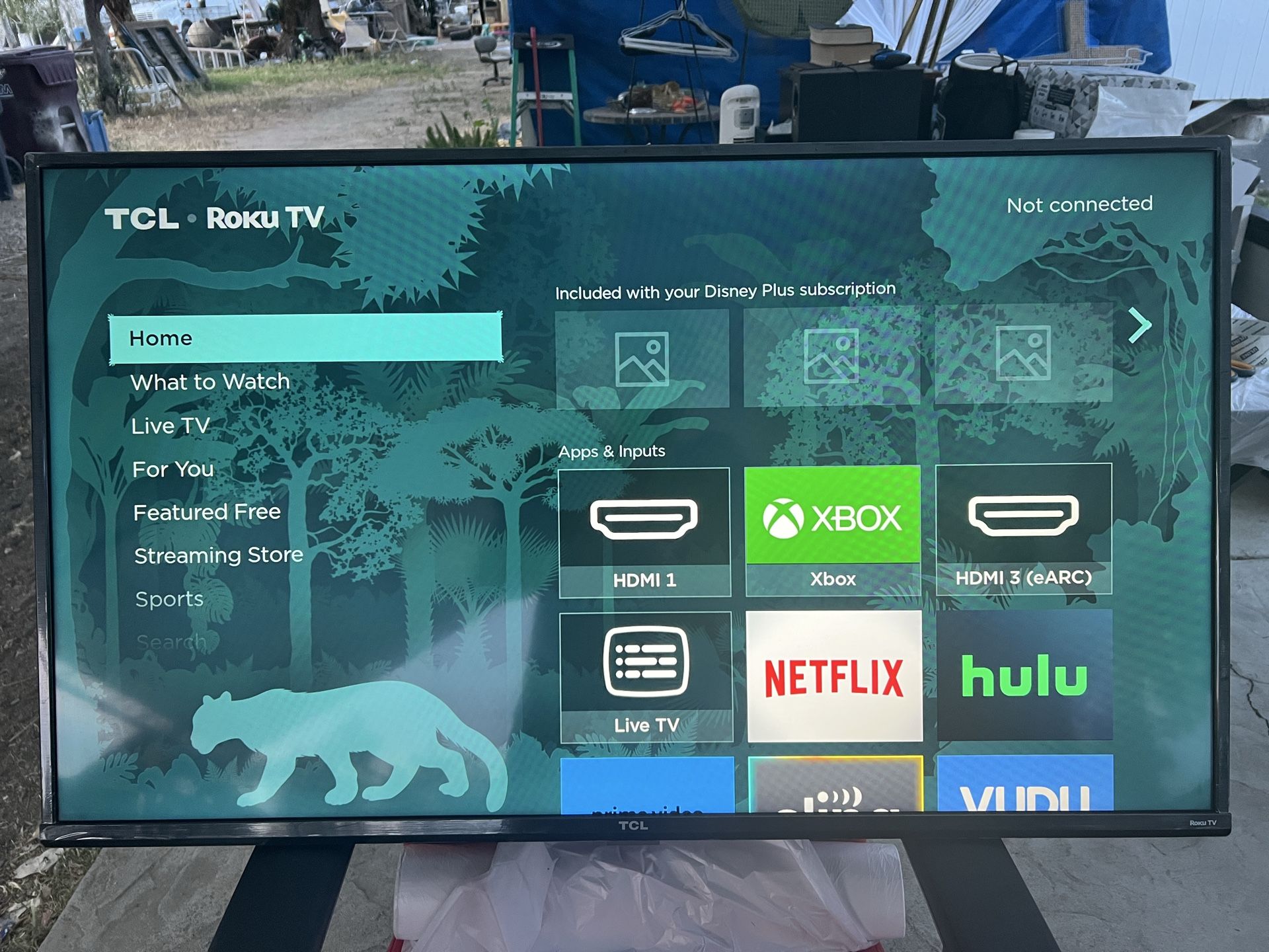 TCL Roku tv