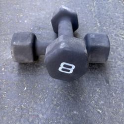 8lbs Rubber Dumbbell Set