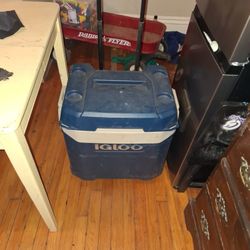 Cooler
