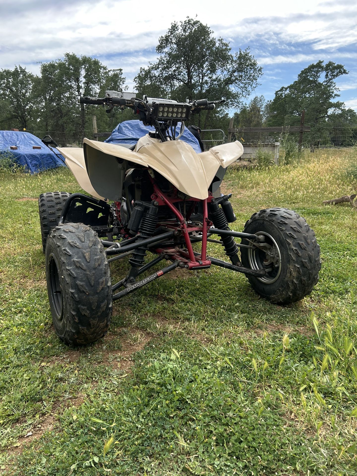 Yfz 450 