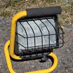 Flood Light 
