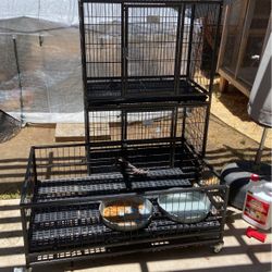 Dog Kennels 