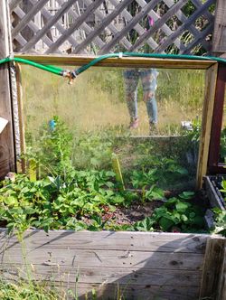 Beautiful Mirrors Of All Shapes And Sizes