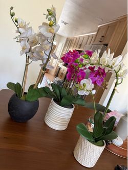 Artificial Orchid Arrangements – Modern Decorative Planters – $60 for all 3