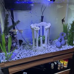 60 Gallon Fish Tank 