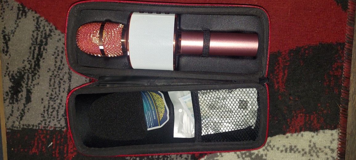Multifunctional Singing Microphone