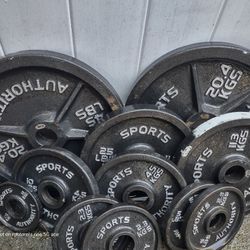 300lb Olympic Weights Set including Olympic Bar 