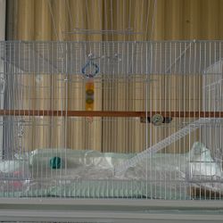 Bird Carrier Cage ( Only One Month Of Use ) Like New 