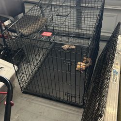 large dog crate