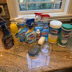 Cleaning Supply Bundle Clorox, Windex, Pledge + More