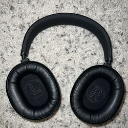 Drop Panda Headphones