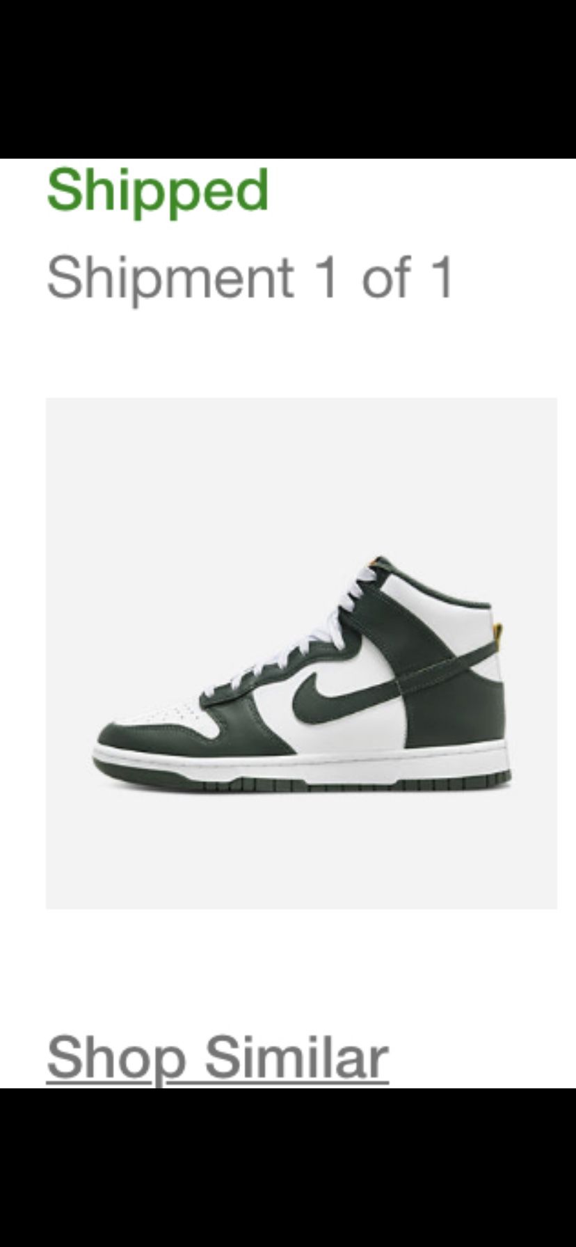 Nike Dunk High Retro