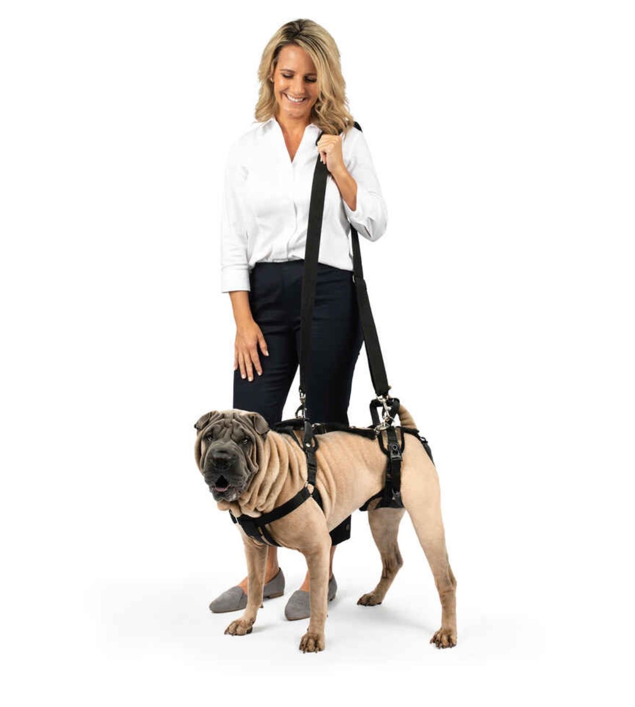 PetSafe CareLift Support Harness