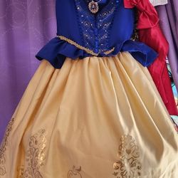Costume Dress