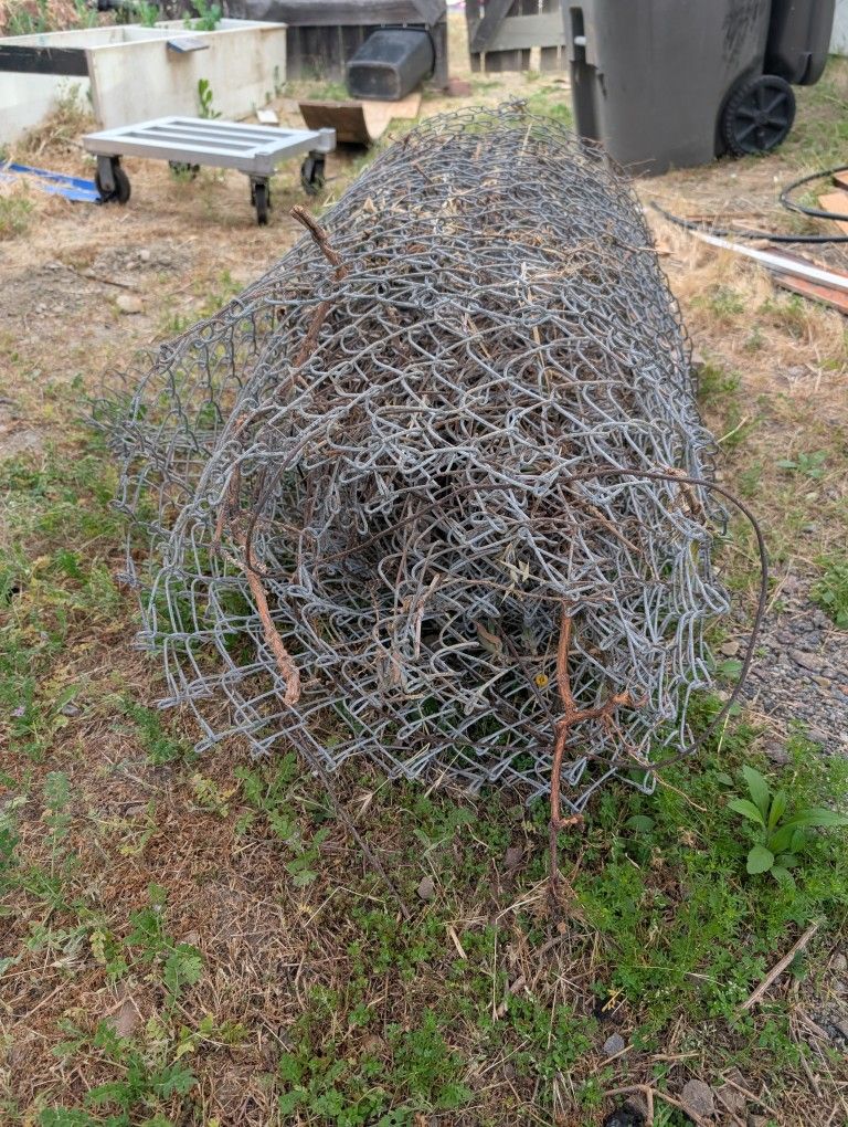 50 Ft Chain Link Fence