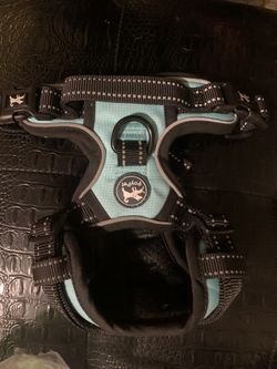 Small Dog Harness 