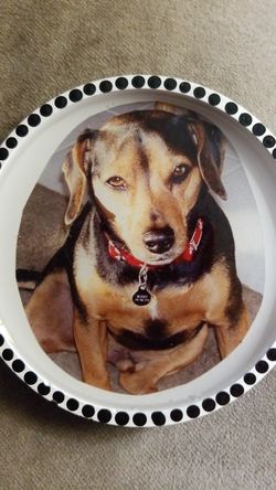 pet remembrance coasters