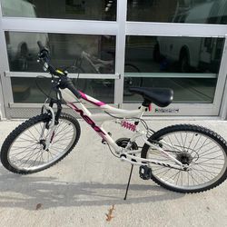 24" Dynacraft NEXT Girl's Gauntlet Bike
