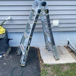 Gorilla ladder 