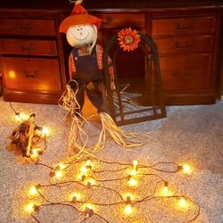 50ft of Autumn Lights & Decor 
