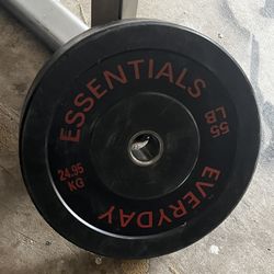 55 Lb Bumper Plates 