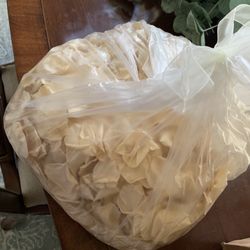 White Rose Petals