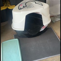 Cat Box And Green Cat Food Mat Available 