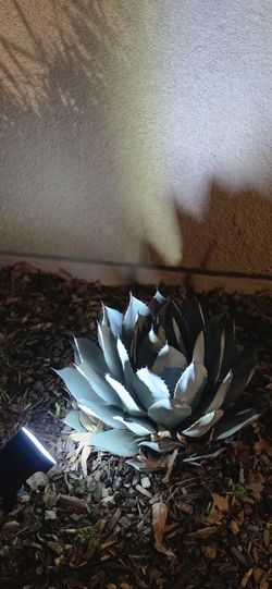 Set Of TWO Solar Outdoor Lights