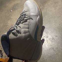 Jordan Cool Blue 12 