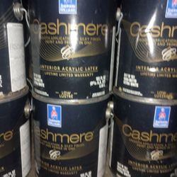 White Paint Low Lustre 